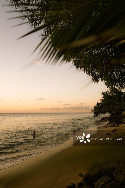 日落时游泳图片素材