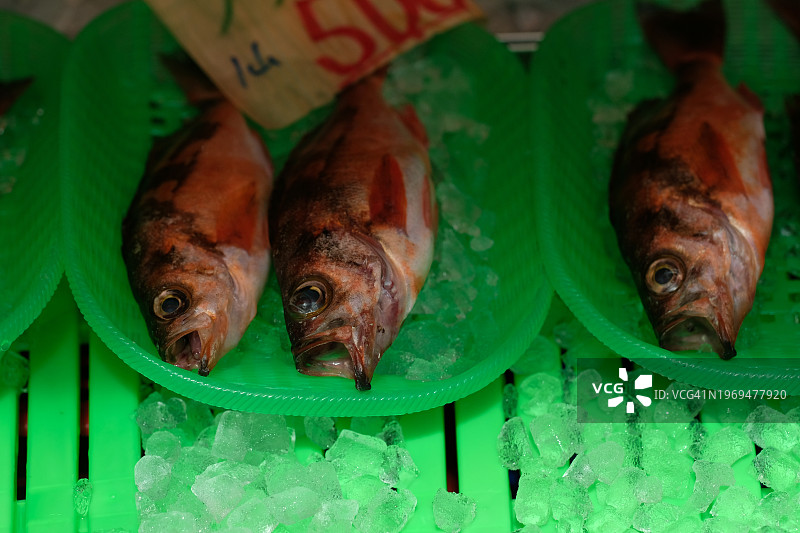 新鲜的石鱼出售图片素材