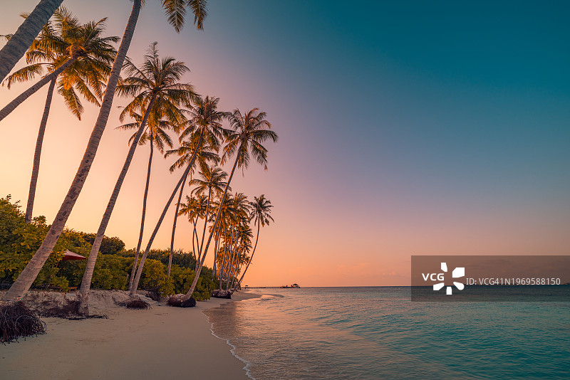 宁静的夏日度假景观：热带岛屿日落海滩，棕榈树、平静的海水、阳光和绚丽天空图片素材