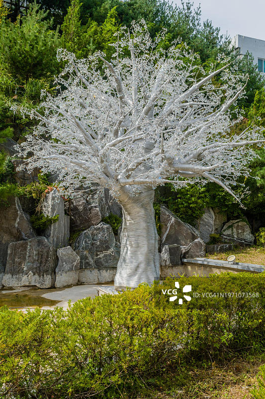 韩国三陟市公园内的玻璃树图片素材