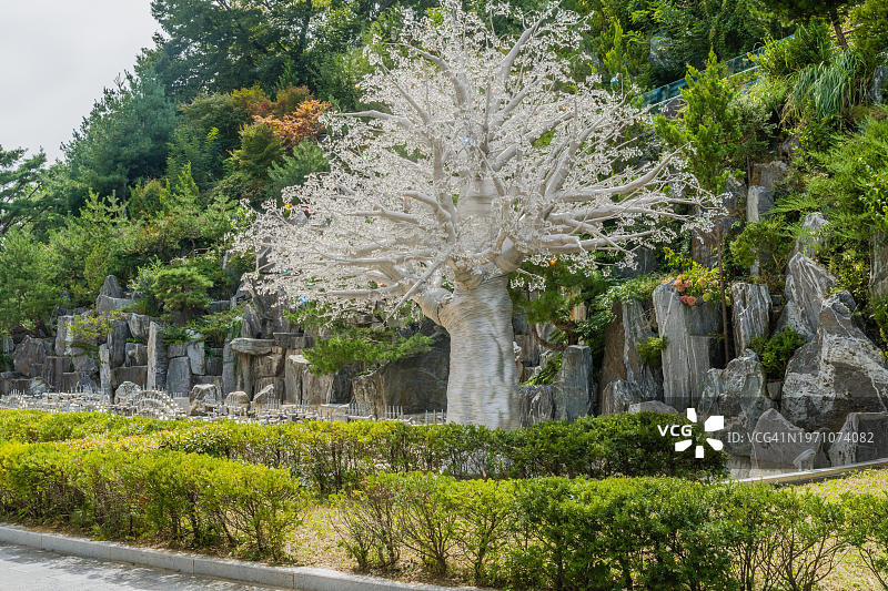 韩国三陟市公园内的玻璃树图片素材