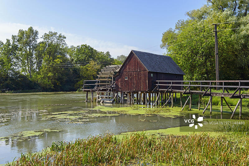 小多瑙河岸边芦苇丛中的木制高脚屋图片素材