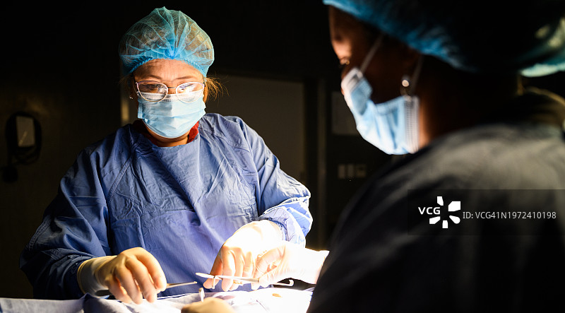 女医生和护士手术中图片素材