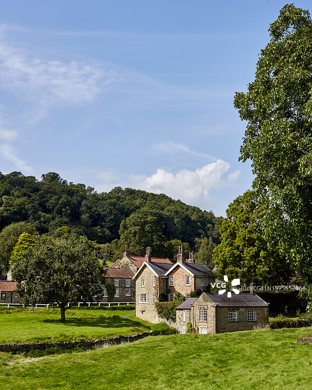 约克夏图片素材