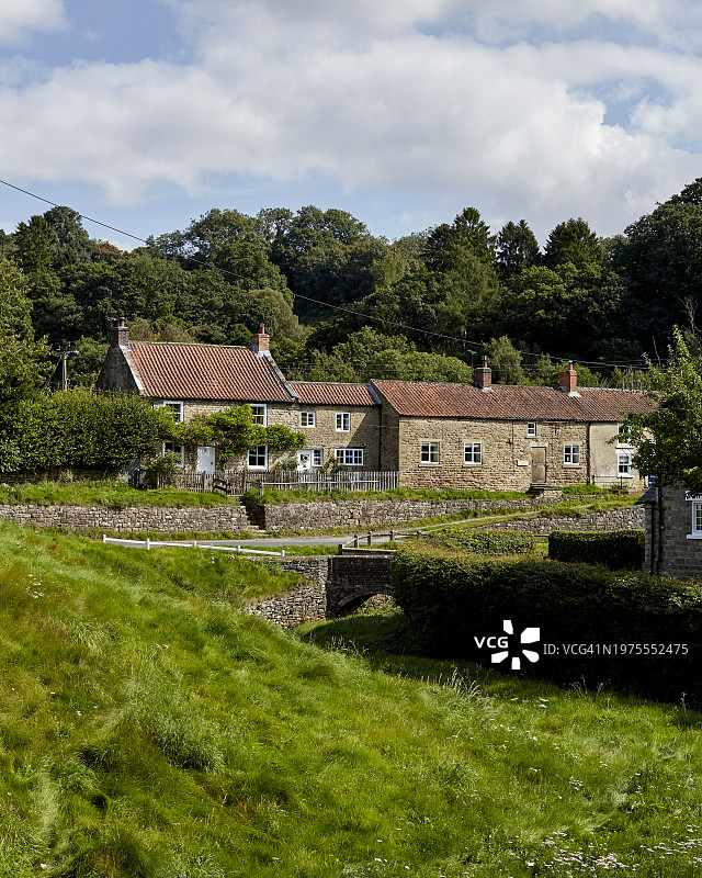 约克夏图片素材