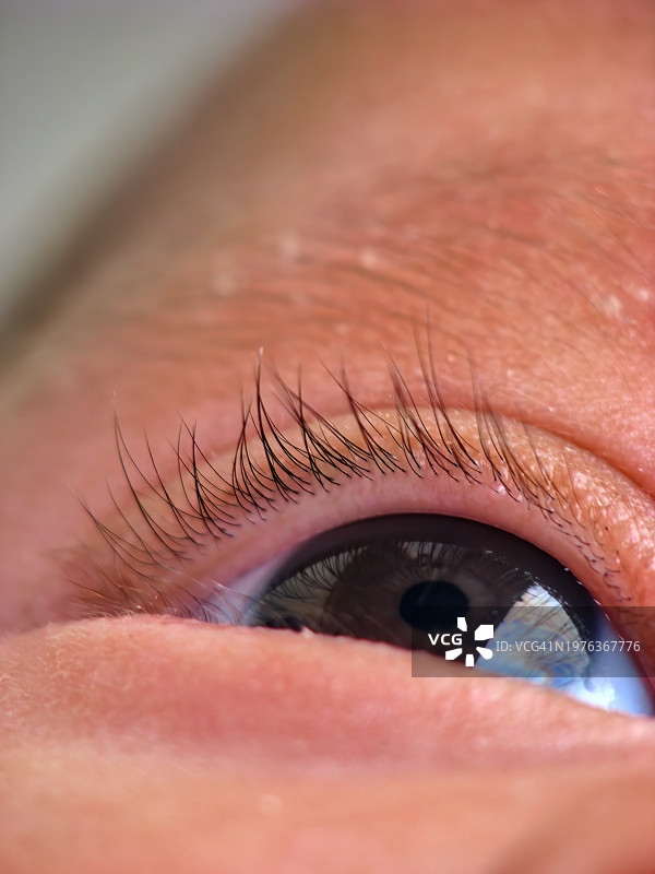 婴儿眼睛的微距照片图片素材