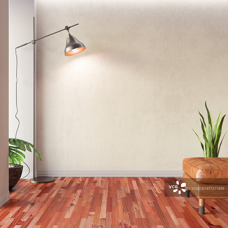 带空墙和落地灯的现代室内设计图片素材