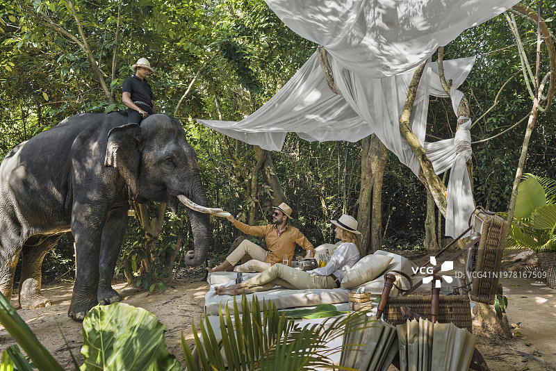 年轻夫妇在吴哥窟附近森林地区的豪华露营度假村享受殖民风格的野餐，并喂食大象图片素材