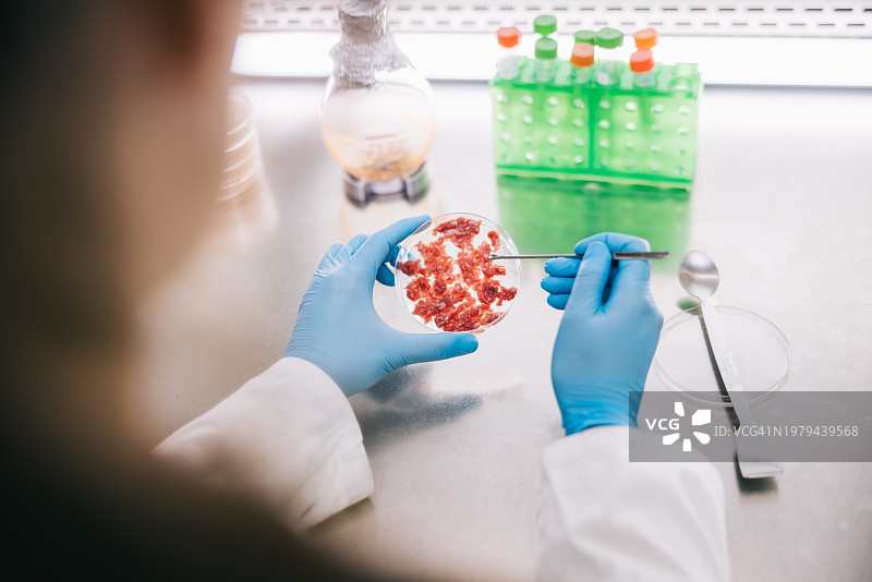 处理培养肉样本的科学家图片素材