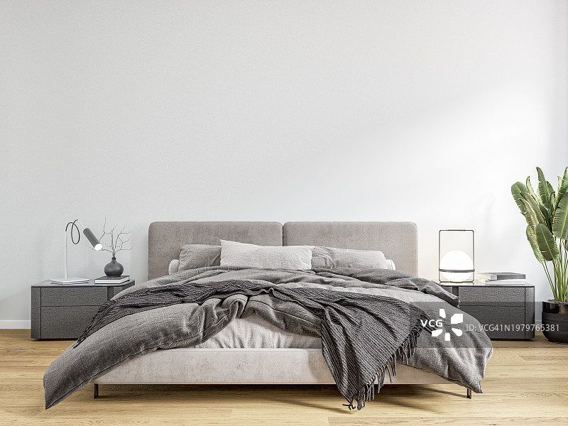 带窗户和装饰的豪华卧室正面图图片素材