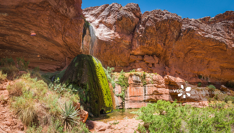 大峡谷国家公园缎带瀑布：田园诗般的宁静绿洲全景图片素材