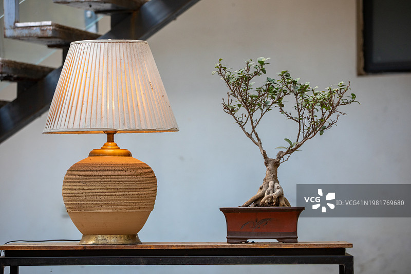 台灯与盆栽图片素材