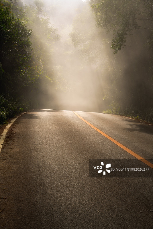 清晨光线下的蜿蜒道路图片素材