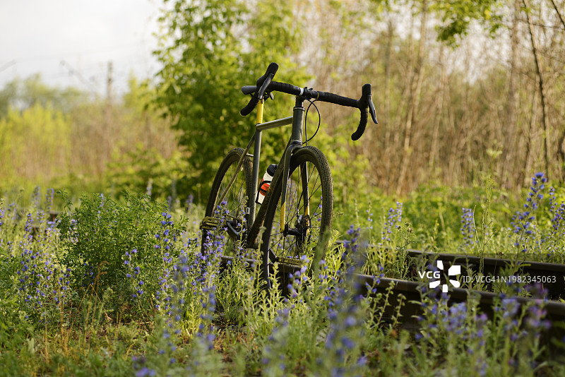 花丛中的砾石自行车图片素材