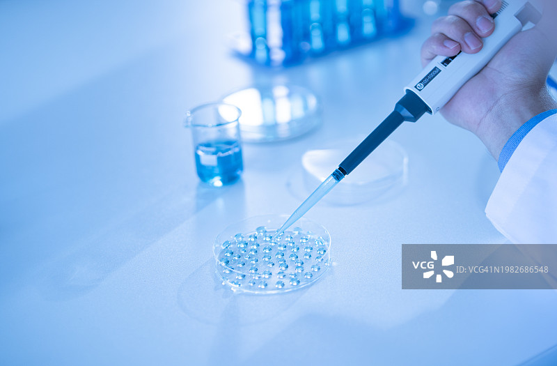 科学家在实验室将样品滴入托盘中进行DNA检测图片素材