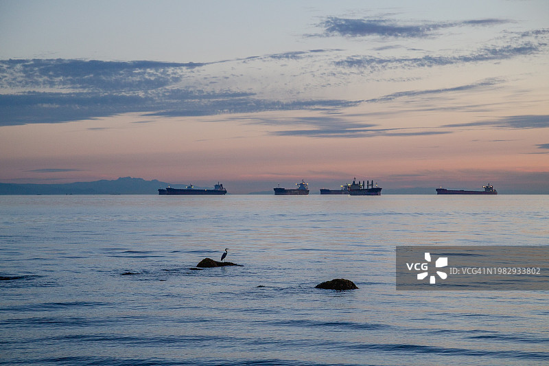 温哥华港的日落图片素材