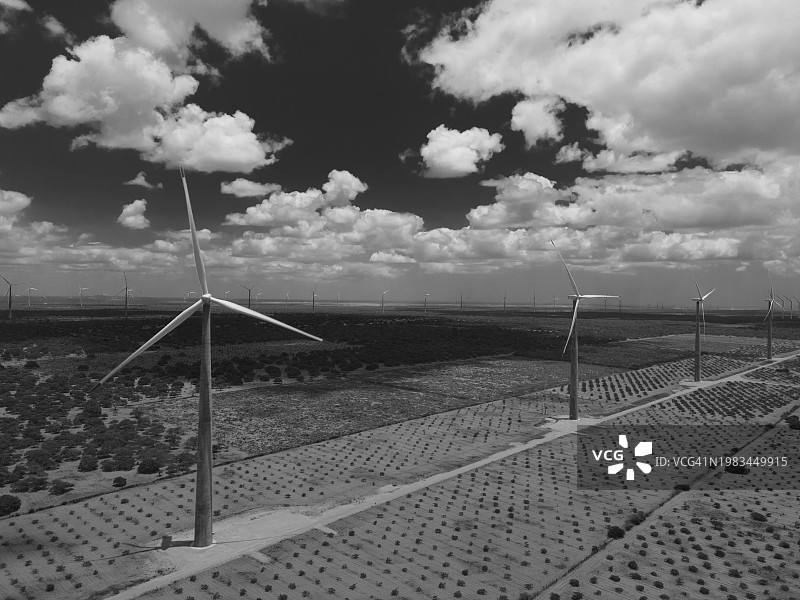 黑白照片：巴西北里奥格兰德州的风力涡轮机农场图片素材