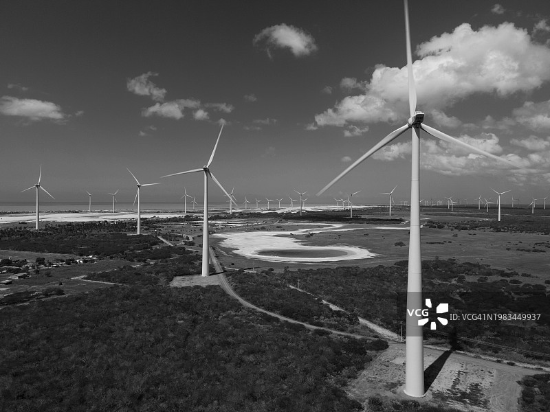 黑白照片：巴西北里奥格兰德州的风力涡轮机农场图片素材