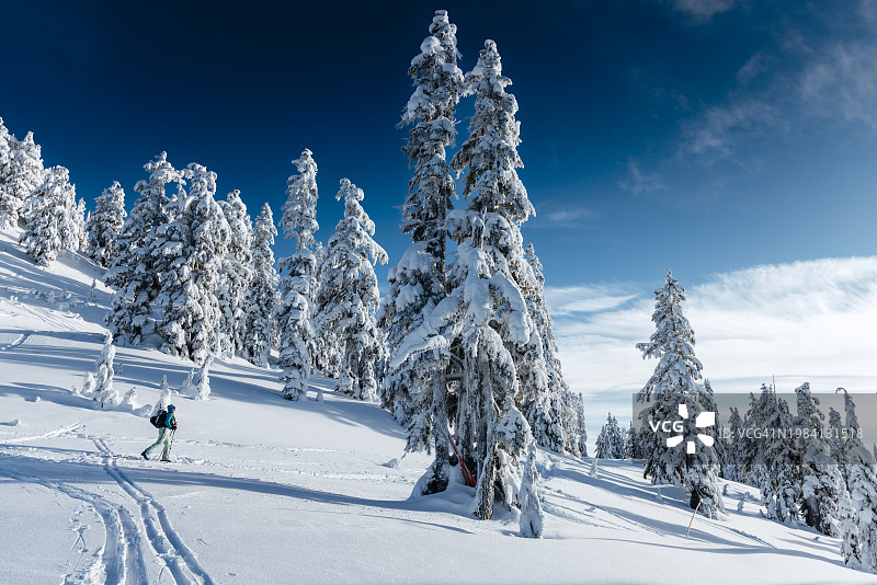 在不列颠哥伦比亚省斯阔米什附近的高山草甸滑雪的女人图片素材