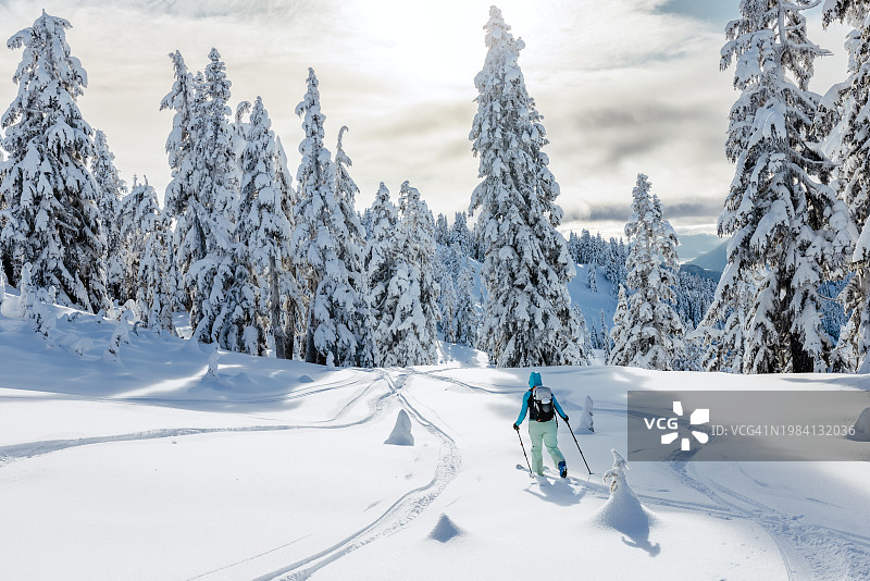 在不列颠哥伦比亚省斯阔米什附近的高山草甸滑雪的女人图片素材