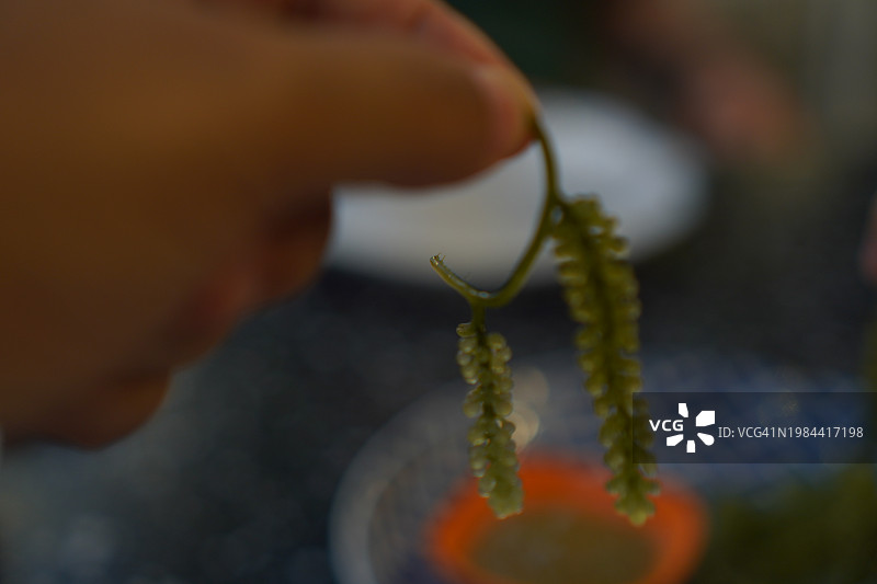 海葡萄绿色鱼子酱图片素材