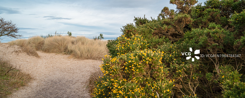通往沙丘-苏格兰内恩图片素材