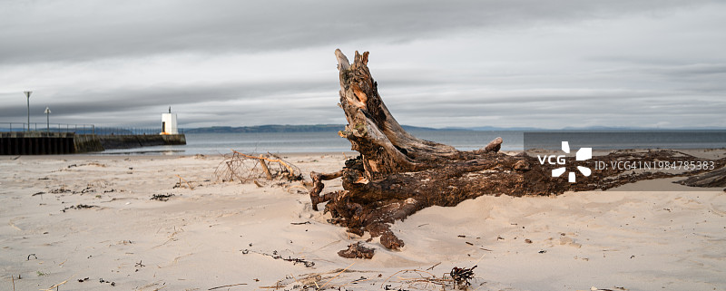 海滩上的树干（苏格兰奈恩）图片素材