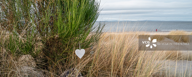 内恩东滩的树上的爱心图片素材