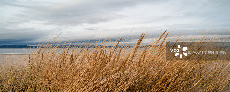 克罗默蒂湾东海滩的草图片素材