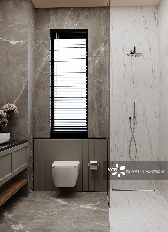 带有马桶、镜子和装饰品的豪华浴室内景图片素材