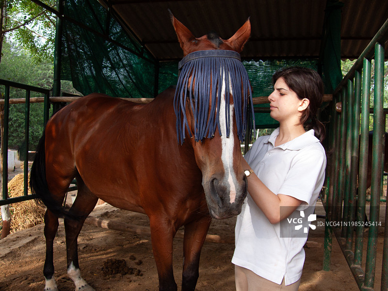 印度新德里，在马厩里梳理马匹的少女图片素材