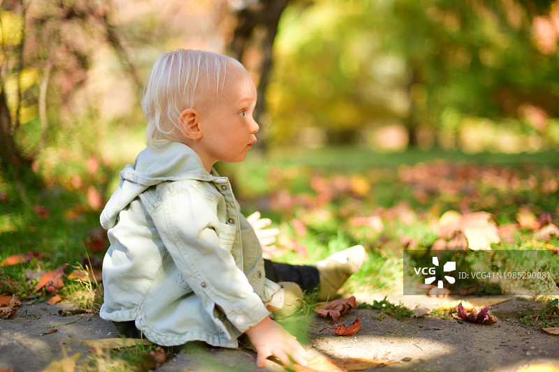 在公园里树下探索大自然的可爱男宝宝，周围是黄色的落叶图片素材