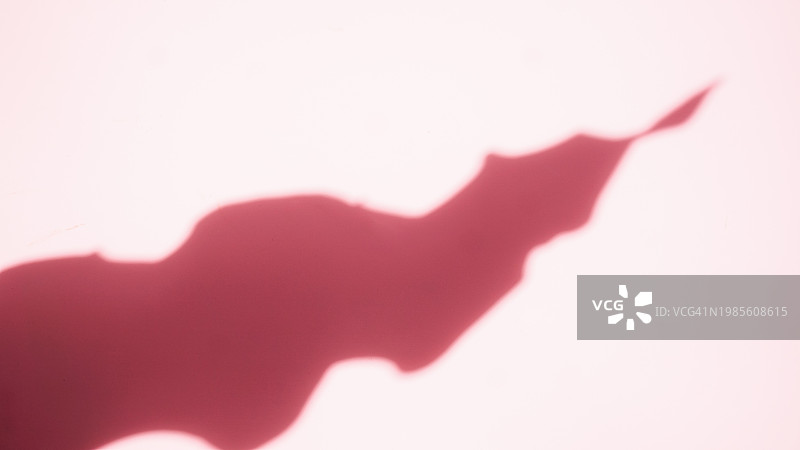 粉色背景上波浪形叶子的阴影图片素材