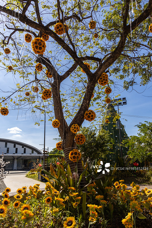 菲律宾吕宋岛中部打拉市，东南亚图片素材
