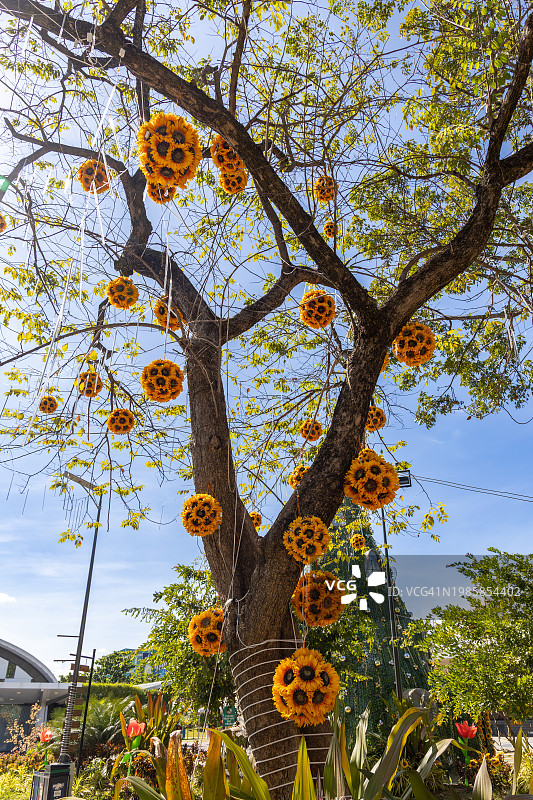 菲律宾吕宋岛中部打拉市，东南亚图片素材