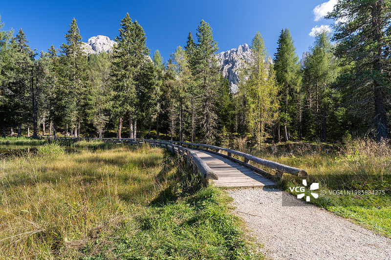 安托尔诺湖和壮丽山脉的宁静森林小径图片素材