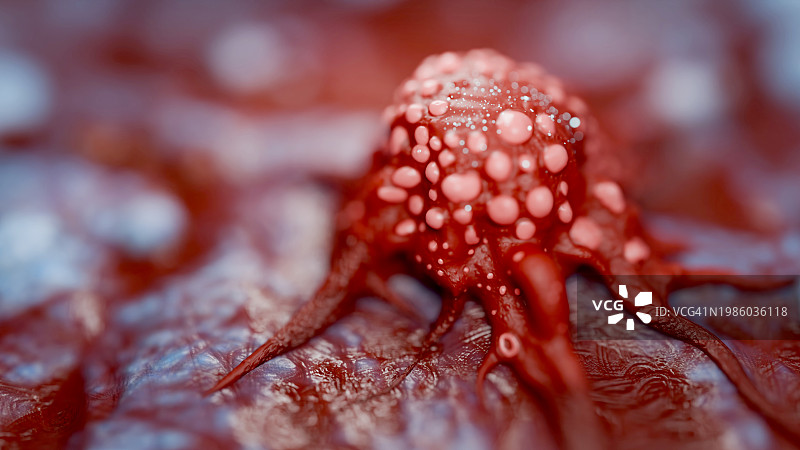 癌细胞视图图片素材