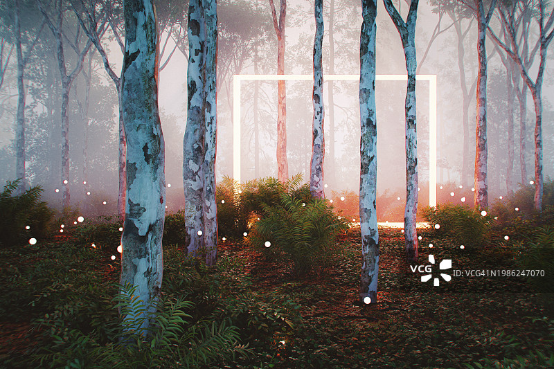 森林中的神秘传送门图片素材