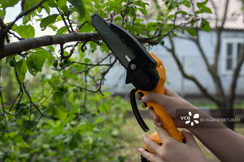园丁用轻型无线电锯修剪树木图片素材