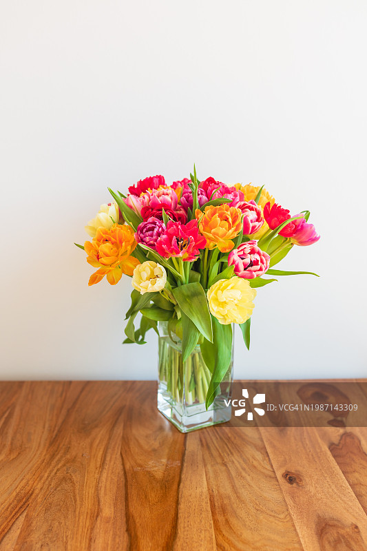 郁金香花束图片素材