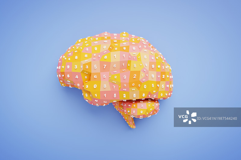 脑部绘图图片素材