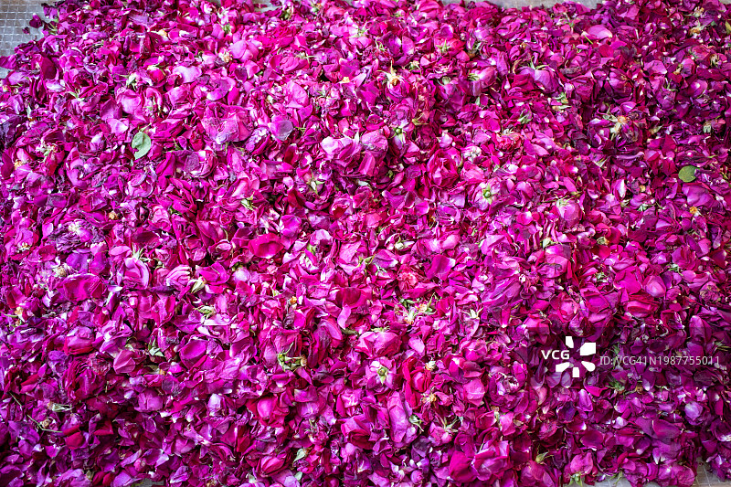 用于云南鲜花饼的食用玫瑰花瓣图片素材
