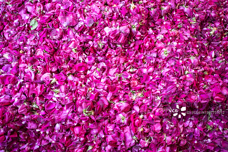 用于云南鲜花饼的食用玫瑰花瓣图片素材
