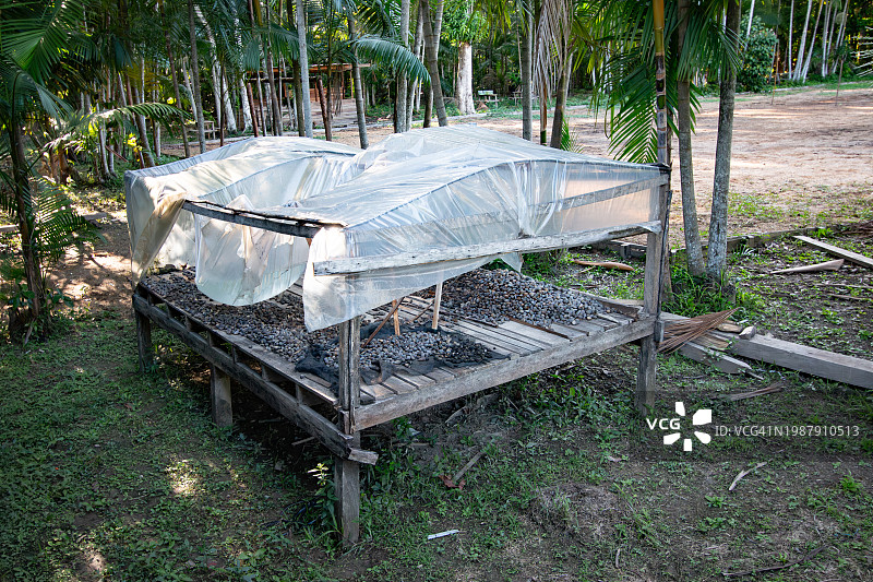 亚马逊图片素材