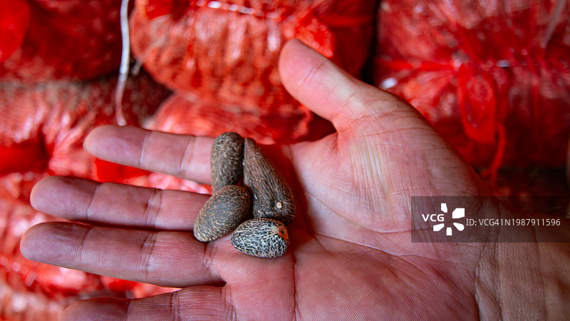 亚马逊图片素材