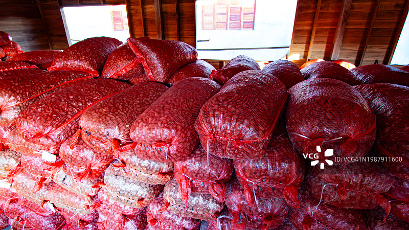 亚马逊图片素材