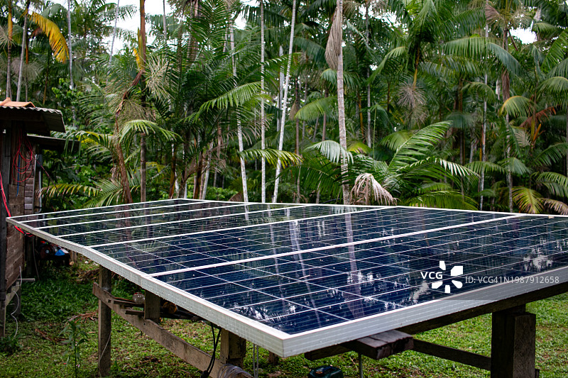 亚马逊图片素材