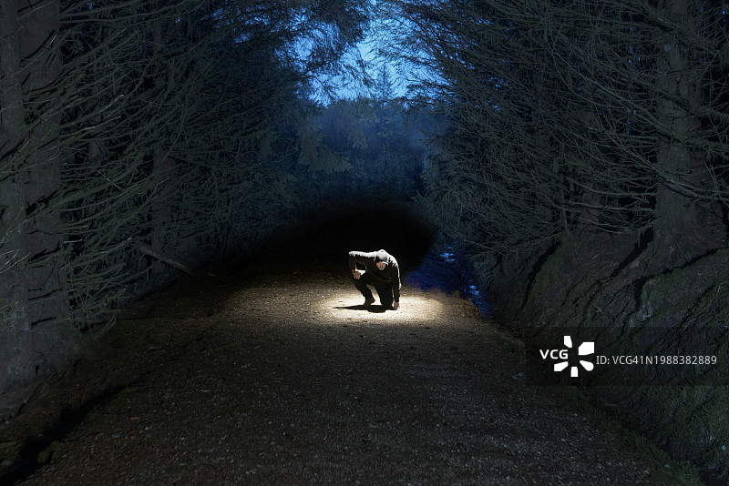 进入森林图片素材