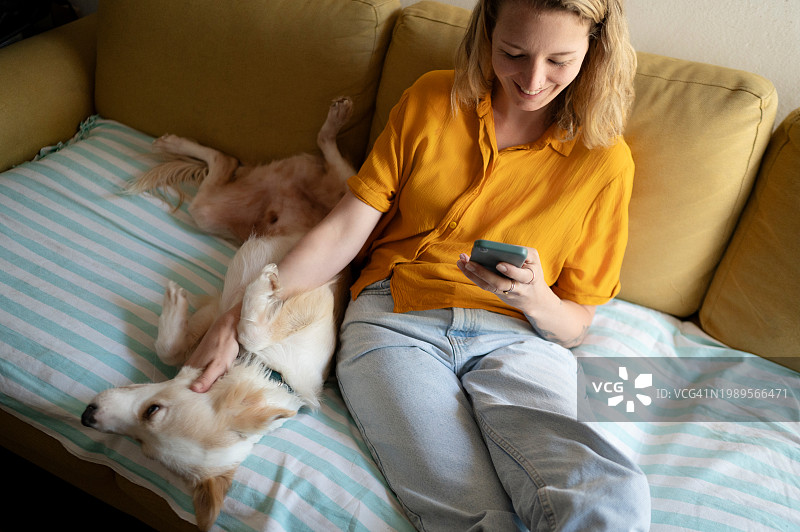 女人，小狗和手机在家，在客厅里一起享受爱、社交媒体和关怀。宠物，放松和支持与微笑和动物在房子里与狗和抓在沙发上的休息室与手机图片素材