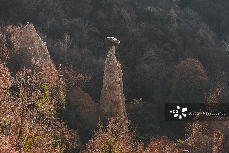 意大利伦巴第大区佐内的森林树木图片素材